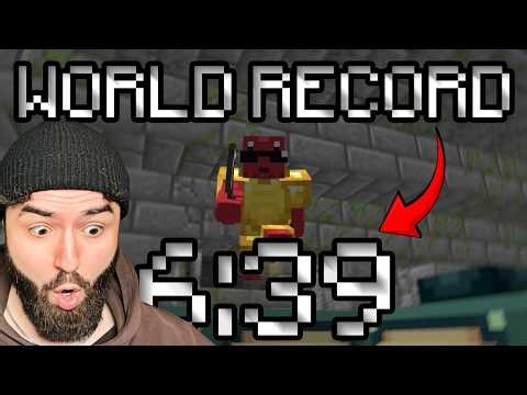 The NEW Minecraft WORLD RECORD