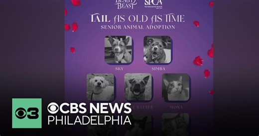 Pennsylvania SPCA teams up with Ensemble Arts Philly for "Tail as old as Time"