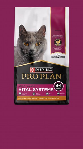 Give your cat Immune, digestive, muscle, and brain support in one adult formula with Pro Plan Vital Systems. | Purina Pro Plan Cat | Facebook