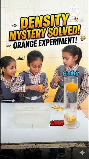 The Orange Density Mystery! 🍊 Floating vs Sinking Experiment | Easy Science for Kids at Home