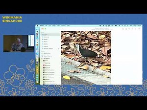 Wikimedia Commons Basics | #Wikimania2023