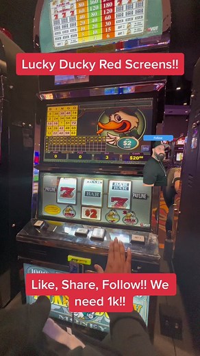 Lucky Ducky Red Screen Wins on Slot Machine