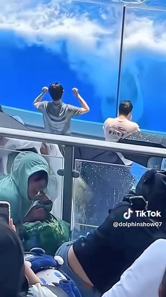 #orcas #trendingg #foryouu #orcas #trendingg #foryouu #orcas #trendingg #foryouu #orcas #trendingg #foryouu