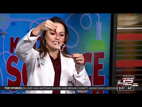 KSAT Kids Home Science: How to make salt crystal leaves