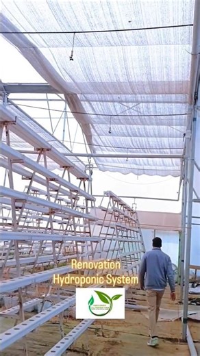 Renovation of Hydroponic System #indiaagriculture #hydroponics #farmlife #agriculture #farming