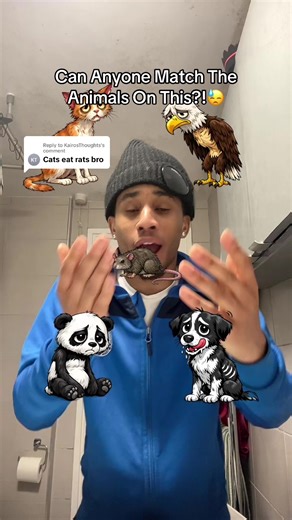 Matching Animals Challenge: Can You Keep Up?