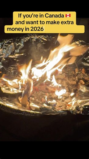 5 side hustles you can do in Canada 🇨🇦 to make money. Most people don’t know #3.