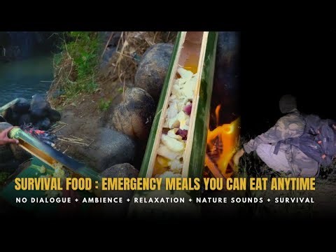 Survival Food : Emergency Meals You Can Eat Anytime