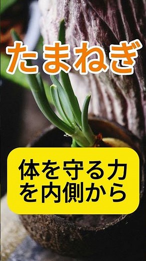 たまねぎの効能