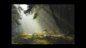 癒し系壁紙詰め合わせ