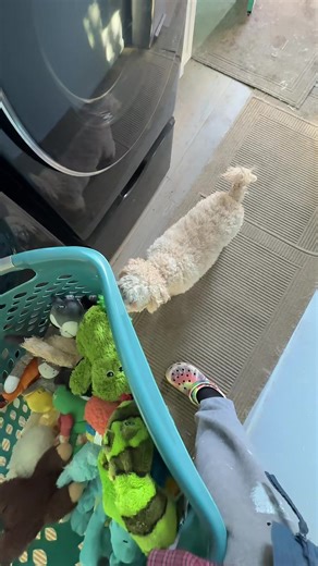 Teddy Barrett (@tedbarrett5)’s videos with original sound - Teddy Barrett