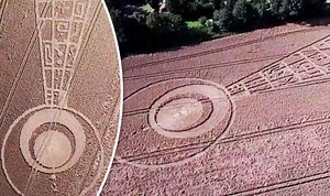 Alien life? Mystery surrounds HUGE crop circles discovered in Essex