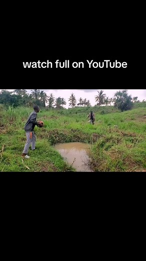 Ver el video completo en YouTube