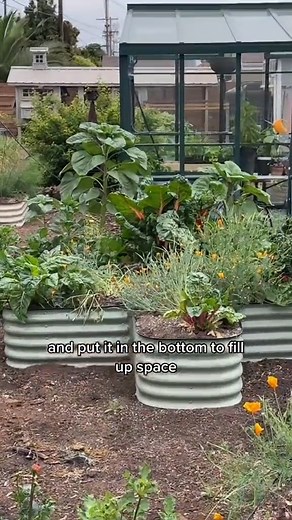 It’s completely fine to put logs... | Green Love to You | Facebook