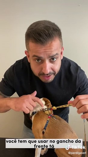 Como usar o peitoral H corretamente