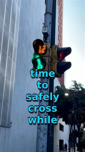 The Secret of Pedestrian Crossing Signals Revealed