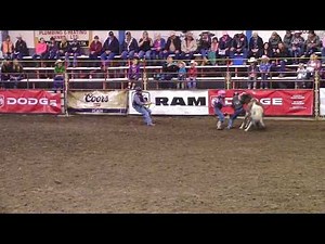 Wild Pony Race Sunday 2015