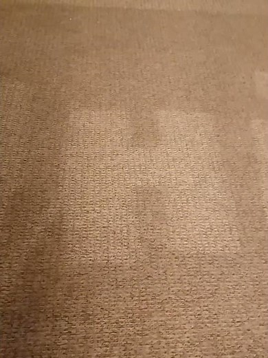 "residential carpet cleaning services near me". No harmful residue cleaning. Eco- friendly cleaning"