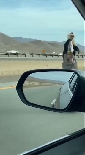 Monkeys Ride a Unicycle Beside a Car — Then Suddenly Crash