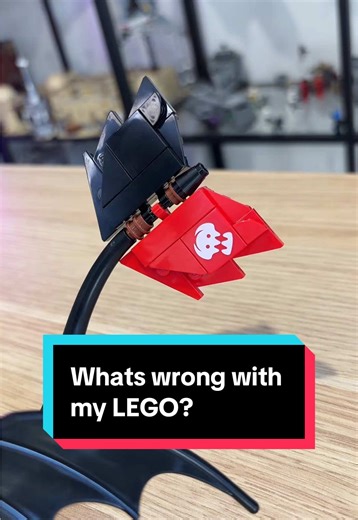 What's Wrong with My LEGO? Funny Insights