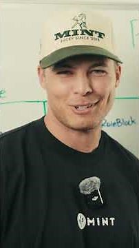 Mint Window Cleaning - Our Service Plans