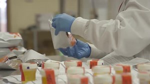 lab tech sorting samples in a lab
