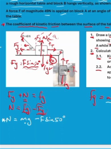 Senior Certificate Exam: Newton's Laws Practice