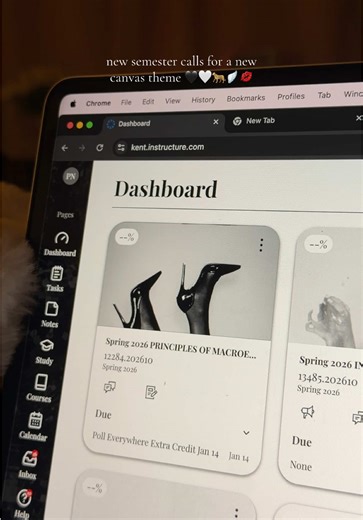 Cute Theme Ideas for Good Grades in College