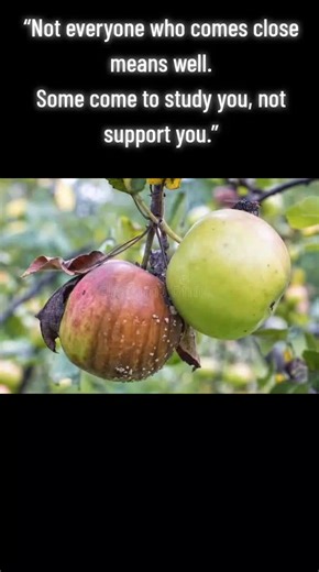 Understanding True Intentions: Support vs. Observation