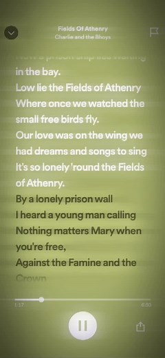 Fields of Athenry 🍀🫶 || #fieldsofathenry #charlieandthebhoys #xyzbca #abcxyz #viral #fyp #fyp #celtic #celticfc #irish #spotify #spotifylyrics #lyrics #celtic_ed1ts #song #spedupsongs #spedup #sped #spedupaudio