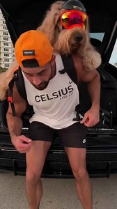 Sunset backpack ride with my giant dog 🎒🐻 #dogbackpack #goldendoodle #dogdad