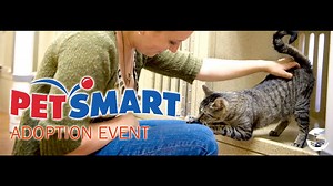 Petsmart Coupons and Discounts