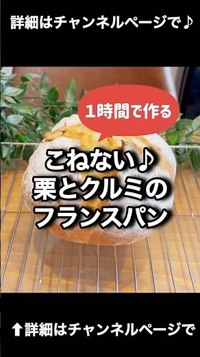 こねない栗とクルミのフランスパン！超簡単！美味しい！最高！ #パン #パン作り #こねないパン 「VOICEVOX:ずんだもん」