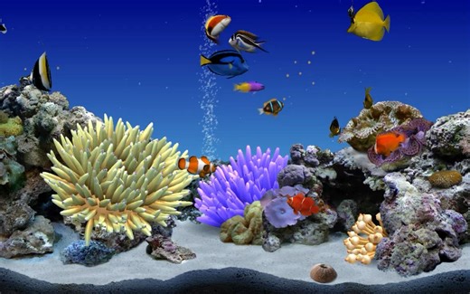 【电脑屏保】DigiFish Clownfish