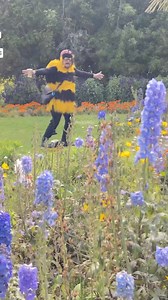 1.8M views · 92K reactions | Plant native wildflowers #蓼 #plantlover #flowersofinstagram #plantsofinstagram #plants #plantsofinstagram #plantlove #plantstagram #urbanjungle #plantparenthood #plantlife #greenery #plantlovers #plantobsessed #plantsmakepeoplehappy #plantaddict #foliage #botanical #savethebees #leaflove #plantgoals #naturelovers | SFinBloom | Facebook