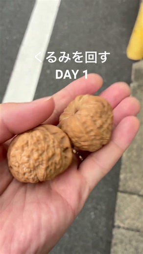 手の油と摩擦でピカピカのくるみに育つらしい。ついでに手のトレーニングにも。