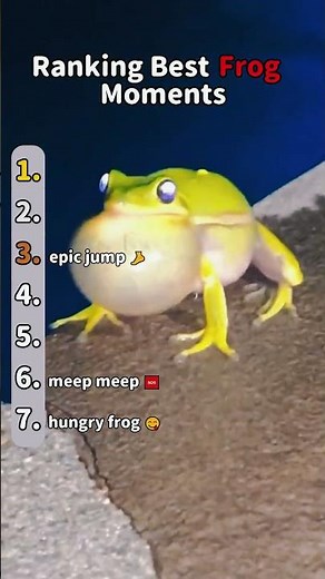 Ranking the best frog Moments
