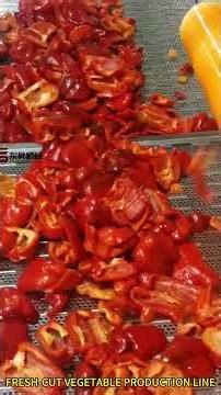 Fresh-Cut vegetable production line