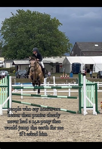 The Unbreakable Bond Between Ponies and Their Riders 💕