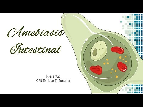 Amibiasis intestinal
