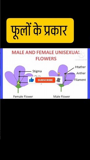The Great Flower Debate: Monoecious vs. Dioecious