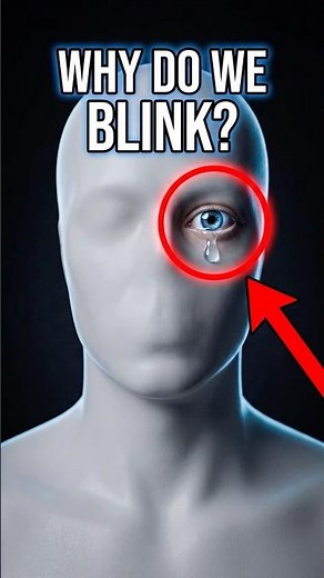 Why Do We Blink?