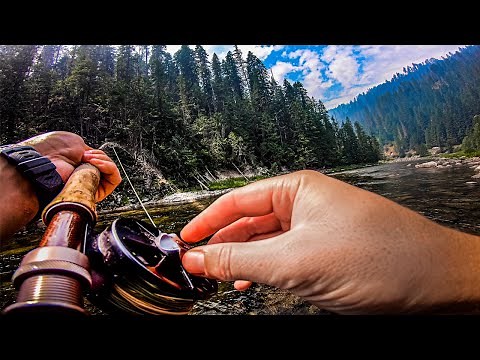 Fly Fishing The Lochsa River