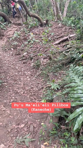 3.4K views · 50 reactions | Pu'u Ma'eli'eli Pillbox (Kaneohe) #hawaii #honolulu #vacations #pictureoftheday #destination #islands #hawaiilife #ocean #nature #islandlife #Aloha #beachlife #beaches #oahu #Oahu #oahulife | Alicia Agustin Vidal | Facebook