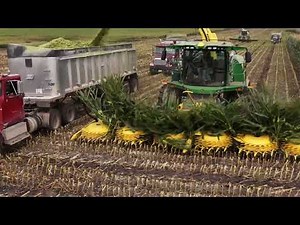 Chopping corn silage 2025