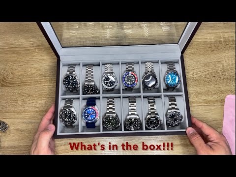 6 months of collecting SOTC, my dive watch obsession!