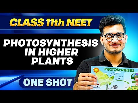 PHOTOSYNTHESIS IN HIGHER PLANTS in ONE SHOT || All Concepts, Tricks & PYQ || Ummeed NEET