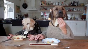 Two Dogs Dining: Hunde mit Tischmanieren