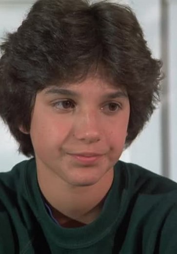 Eight Is Enough S05:E22 - Father Knows Best?