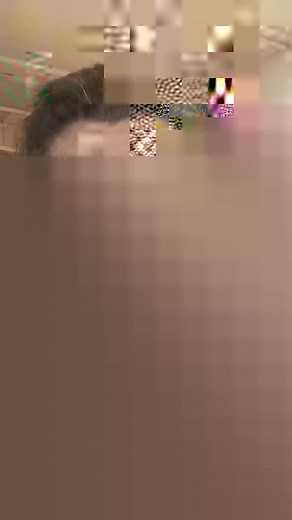 36K views · 1K reactions | The friends that helped empty the place were camera shy so I don't have footage getting rid of stuff but here's what I'm starting with today! NO MORE NASTY COUCHES!!! #extremecleaning #mobilehome #mobilehomeliving #mobilehomerenovation #mobilehomerenovations #MobileHomeMakeover #diyrenovation #diy #mobilehomeremodel #alternativehome #alternativehousing #trashedtrailerremodel | Wicked Awesome Gardening | Facebook